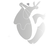 My experience - grieft and bereavement